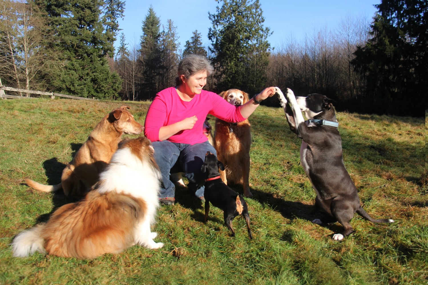 Dr. Robinett with Bella, Conner, Jessie, Roo, and Jasmine Dr. Robinett with Bella, Conner, Jessie, Roo, and Jasmine