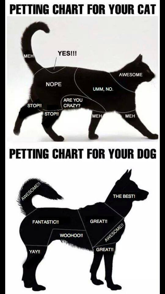 petting chart