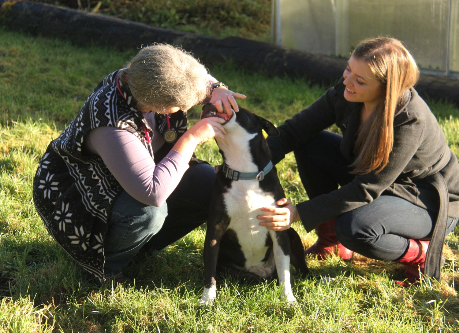 Checking Bella's teeth