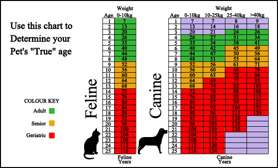 agechart